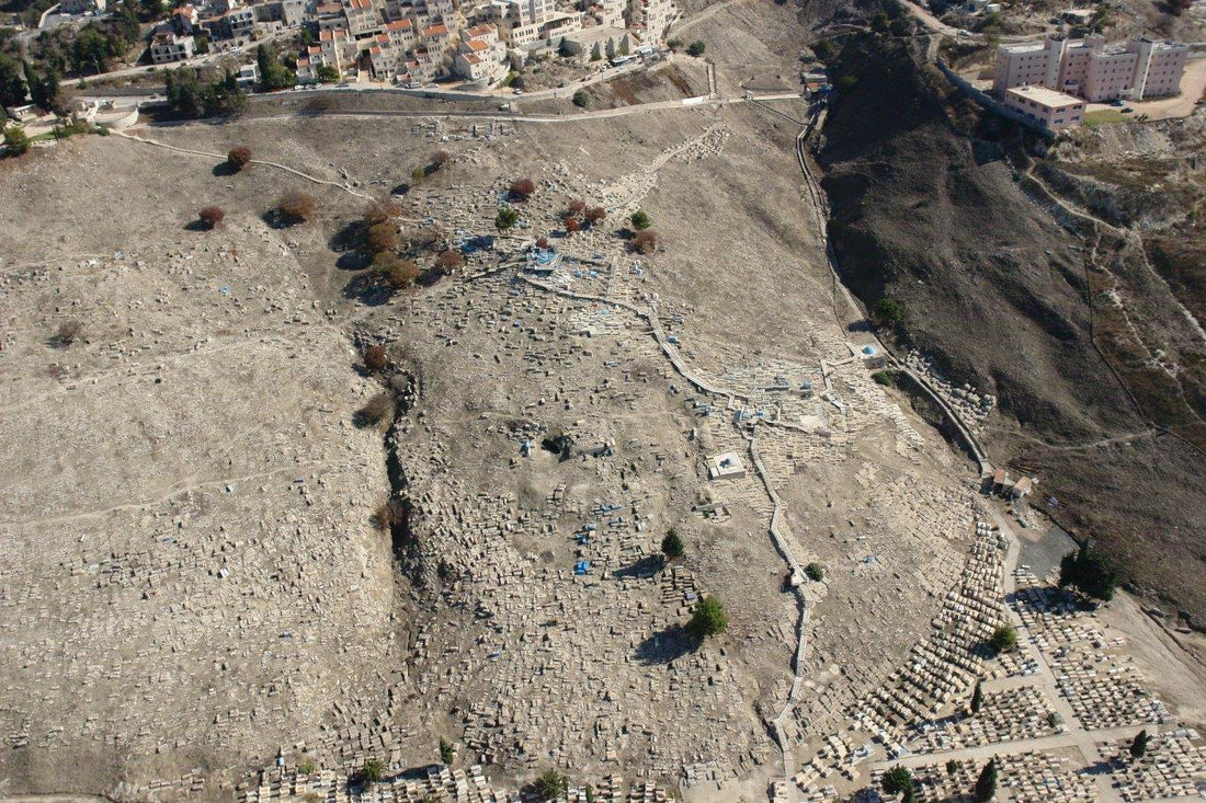 THE OLD CEMETERY